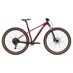 Liv Tempt 2 29