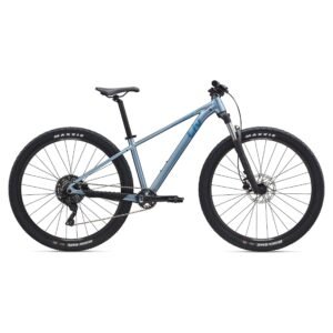 Liv Tempt 2 29